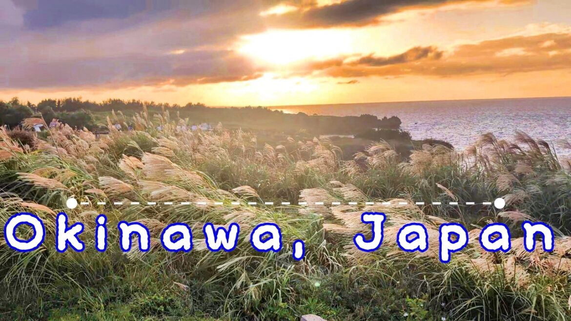 My Okinawa Trip in Under a Minute! My Okinawa Trip in Under a Minute!