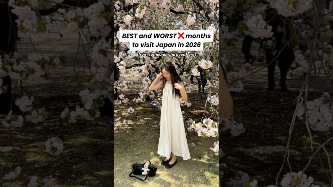 BEST And WORST Months To Visit Japan In 2026 #japan