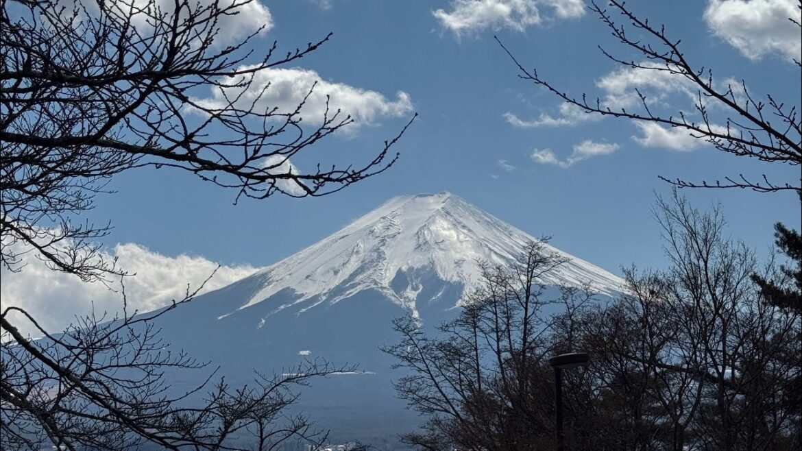 I DIDN'T EXPECT MOUNT FUJI TO BE THIS CLEAR | ONE DAY TOUR TO MOUNT FUJI