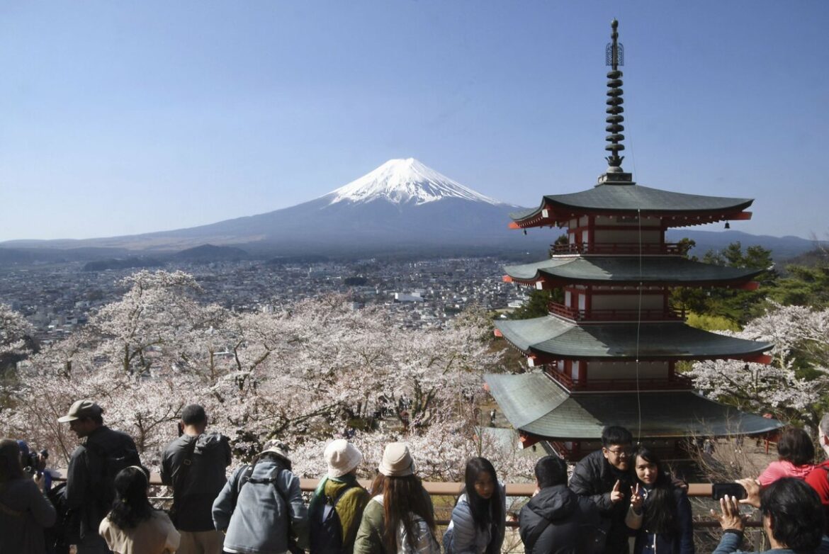 Mt. Fuji cherry blossom festival canceled over fears of visitors behaving badly Mt. Fuji cherry blossom festival canceled over fears of visitors behaving badly