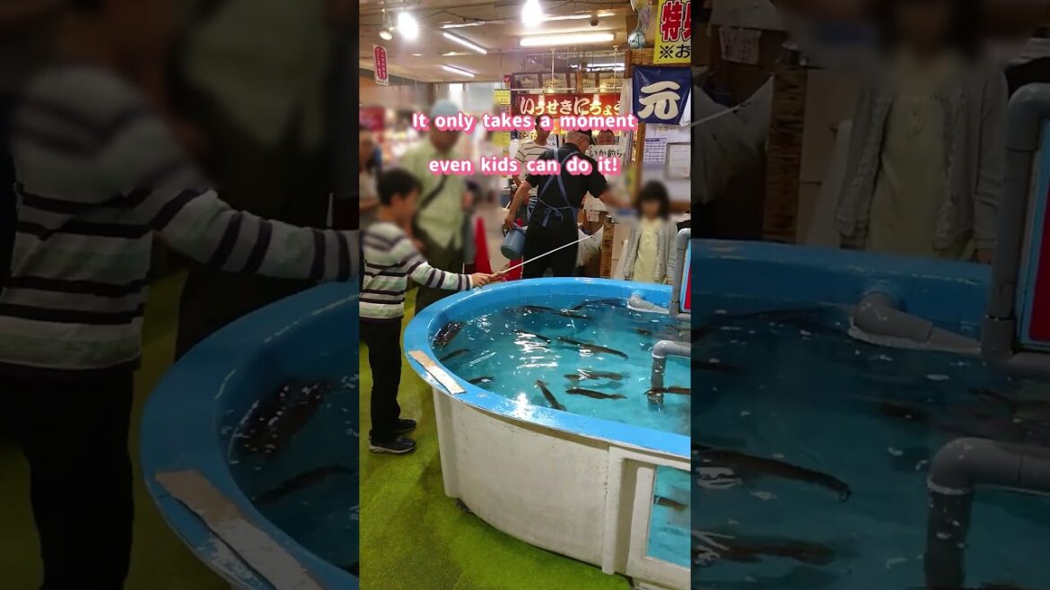 🎣Catch Your Own Squid at Hakodate Fish Market 🦑