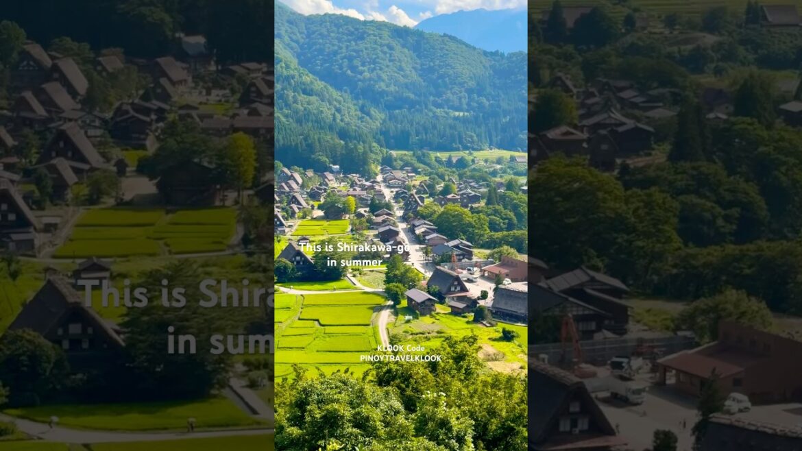 This is Shirikawa-go in summer #Japan #Nagoya #Shirikawago
