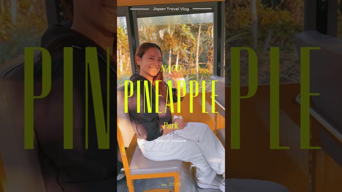 A Chill Moment in Okinawa 🌴