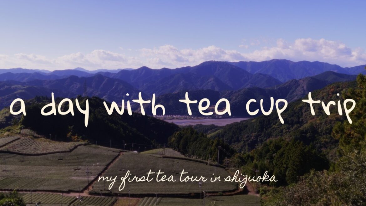 A Day with Tea Cup Trip (my first tea tour in Shizuoka Japan)