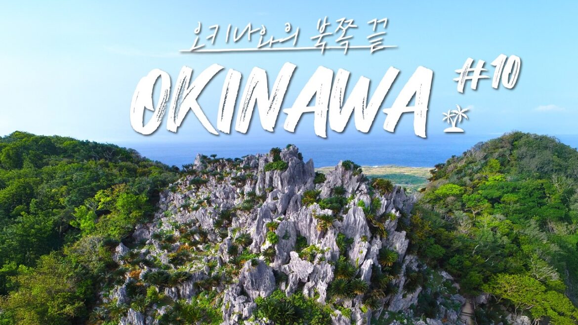 🏞️ 한국인 99% 모르는 오키나와 북쪽 끝 절경 [오키나와 12일 | Day 9]
