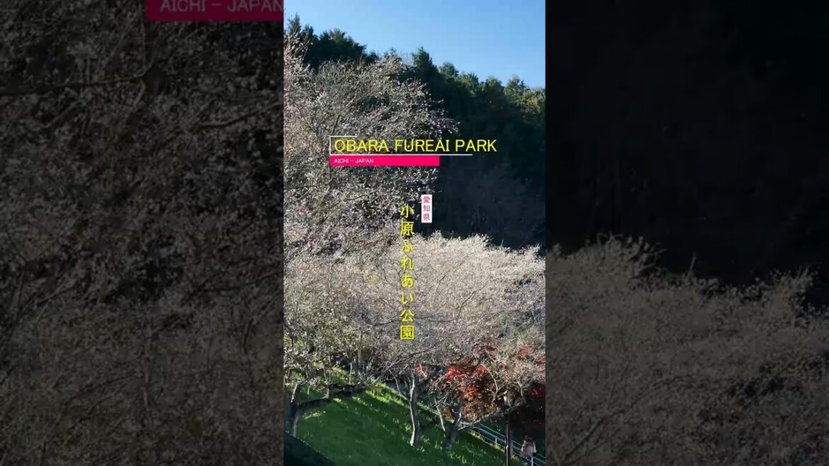 🌸🍁 Seasons in Harmony: Obara Fureai Park