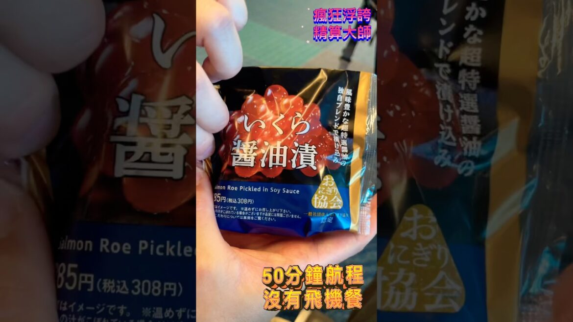 日本ANA國內線50分鐘即可從羽田機場到達大阪伊丹機場非常快速#瘋狂浮誇精算大師 #日本自由行 #東京 #food #羽田空港 #伊丹空港ライブ #京都 #大阪 #ana #御飯糰#美食#京都旅行