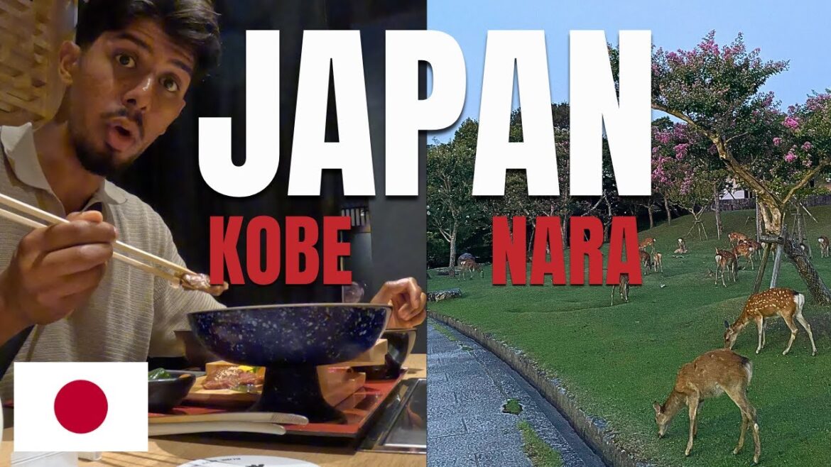 From Kobe Wagyu to Deer in Nara – One Epic Day in Japan 🇯🇵