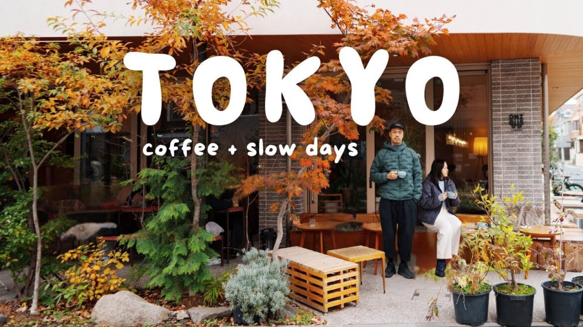 Tokyo Neighborhood Vlog 🇯🇵 | Café Hopping & Shopping in Nakameguro, Jiyugaoka, Shibuya Tokyo Neighborhood Vlog 🇯🇵 | Café Hopping & Shopping in Nakameguro, Jiyugaoka, Shibuya