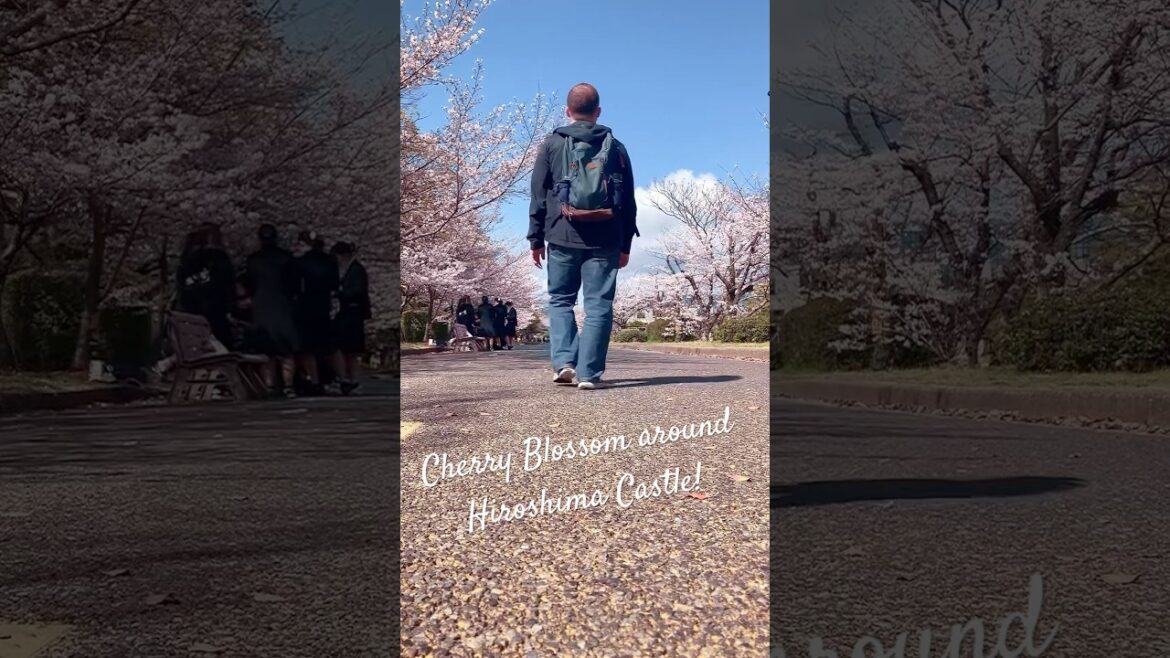 Hidden Cherry Blossom Spots Near Hiroshima Castle That Most Tourists Miss