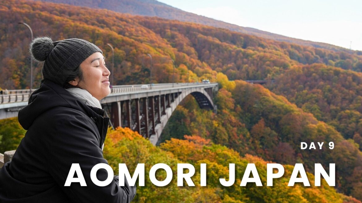 Road trip through AOMORI, Japan! 14 Days of Campervan Life - Day 9