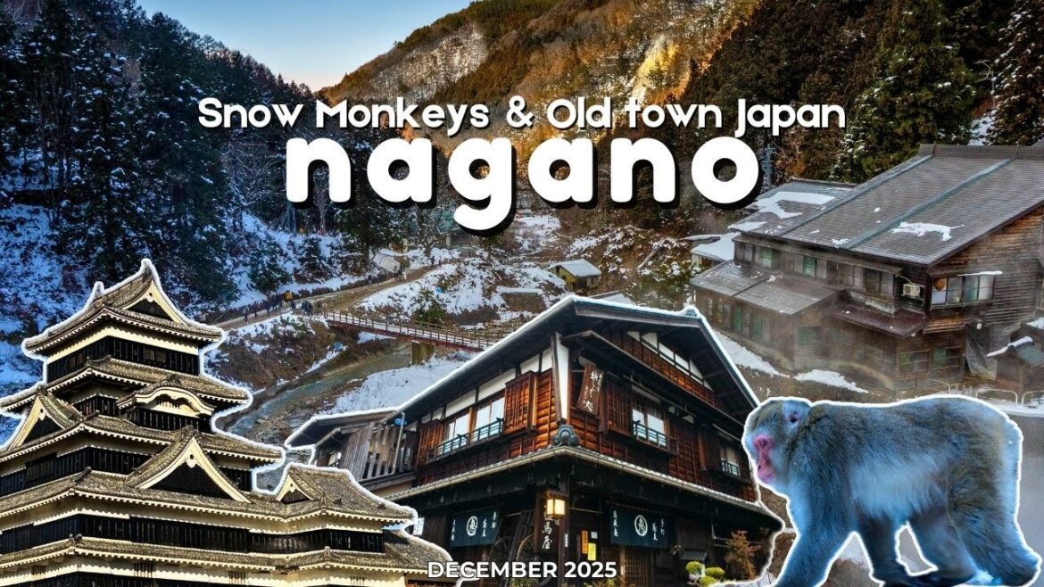 Road to Nagano from Nagoya— Magome-juku, Matsumoto, & Snow Monkeys❄️🐒| Japan Travel Vlog