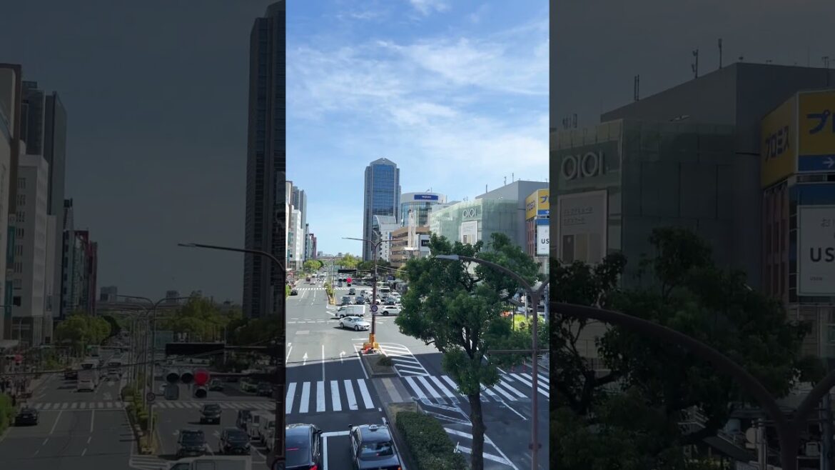 【KOBE】Everyday Common Scene - Sannomiya Station