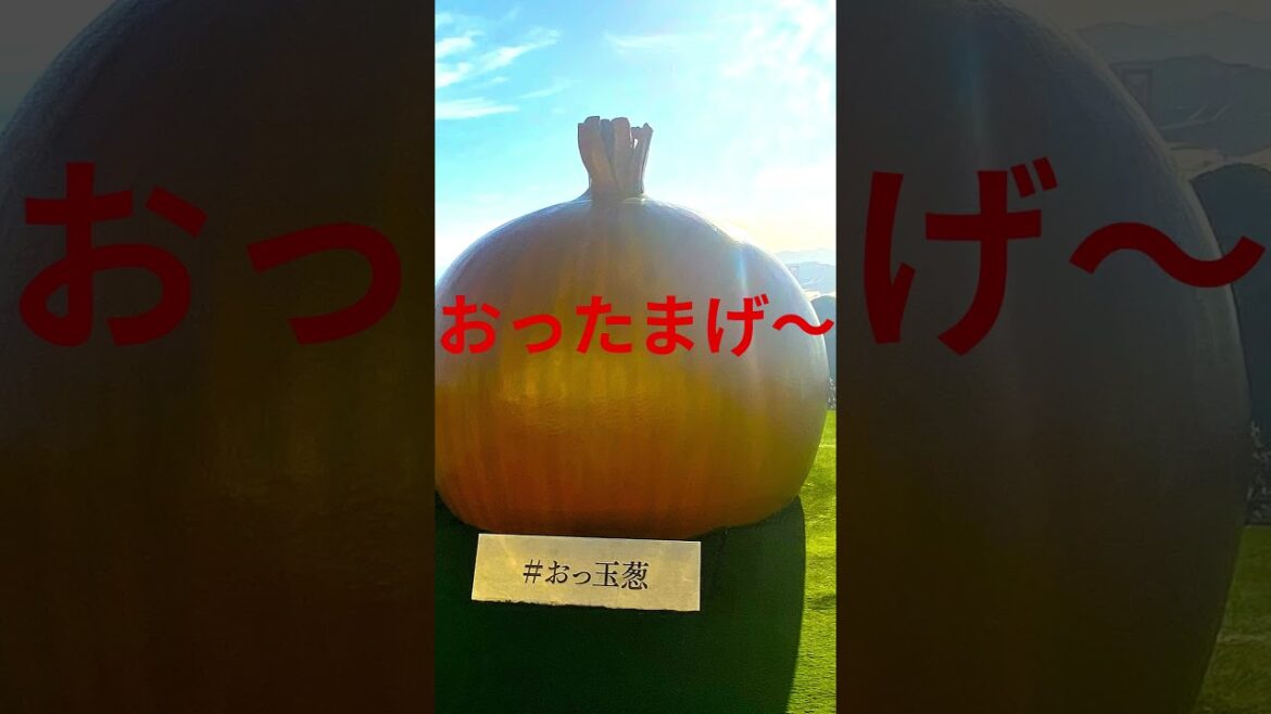 【淡路島縦断】淡路島から瀬戸大橋へ、絶景スポットに感動！#淡路島#瀬戸大橋#絶景#shorts