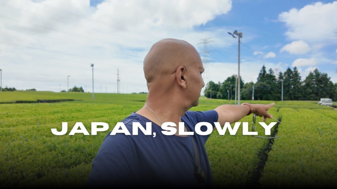 Japan Story EP6 π―π΅ | Hamamatsu Nights & Makinohara Tea Fields (Final Episode) Japan Story EP6 π―π΅ | Hamamatsu Nights & Makinohara Tea Fields (Final Episode)