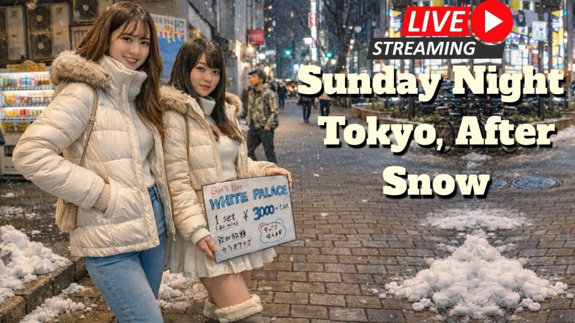 Snowy Tokyo Nightlife — Real Sunday Night Live 🔴