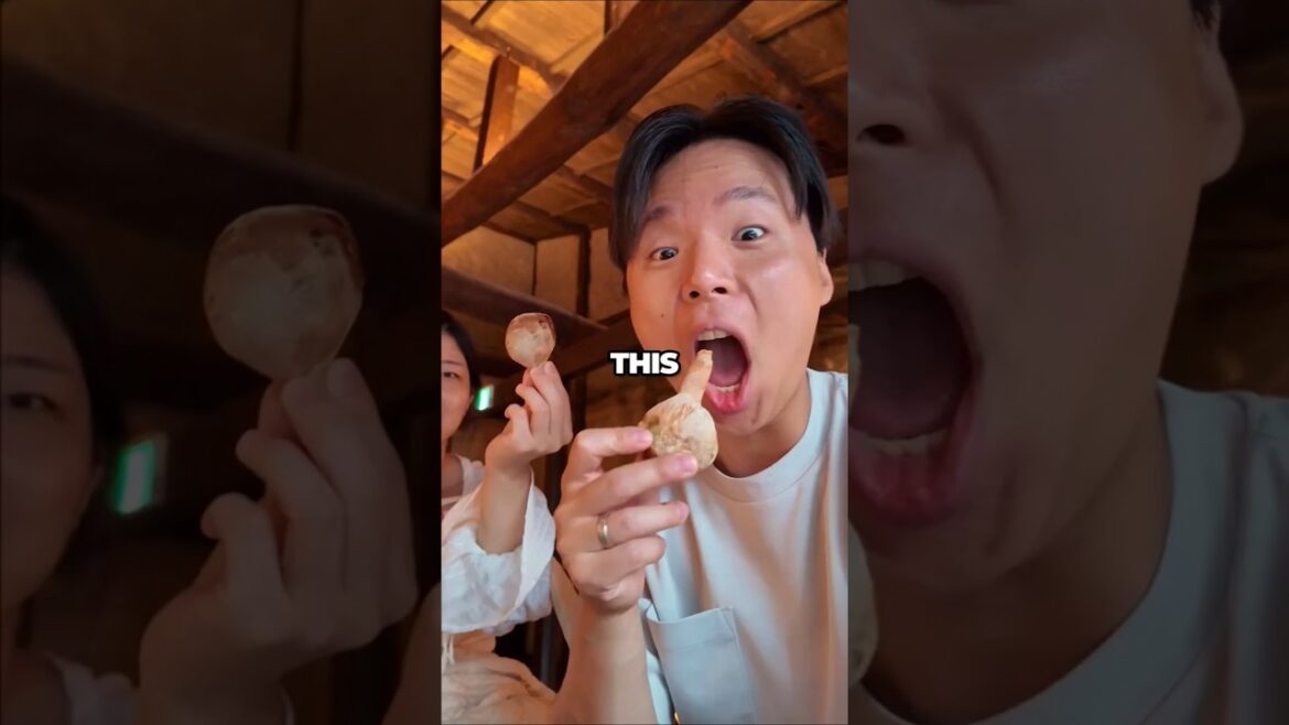 EVERY Japanese Food we Ate in Kyoto ⛩️ EVERY Japanese Food we Ate in Kyoto ⛩️