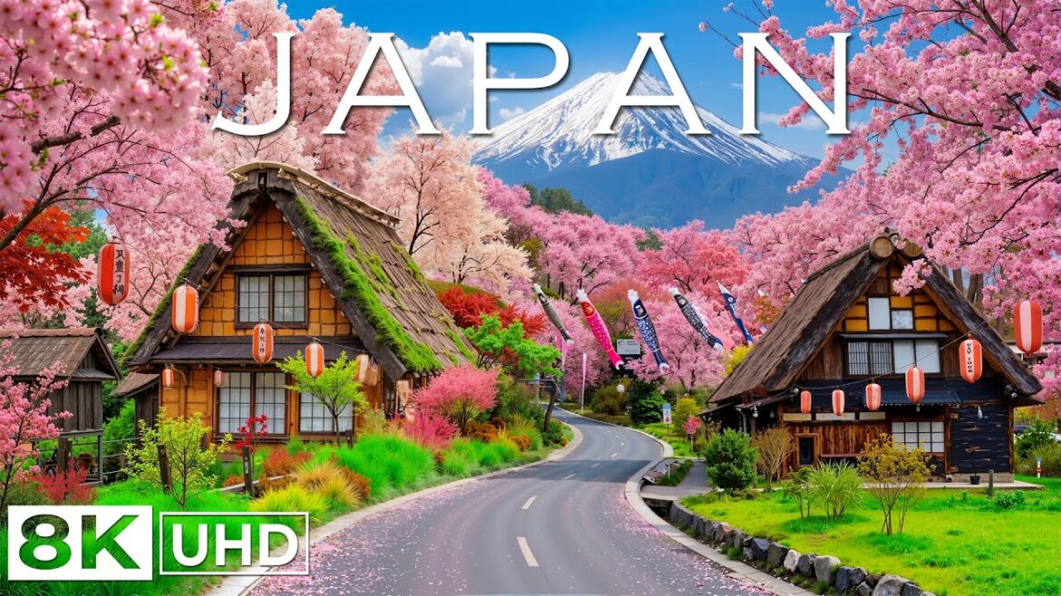 Spring in Japan 8K 🌸 Cherry Blossoms, Peaceful Villages & Scenic Landscapes | Travel Video 8k