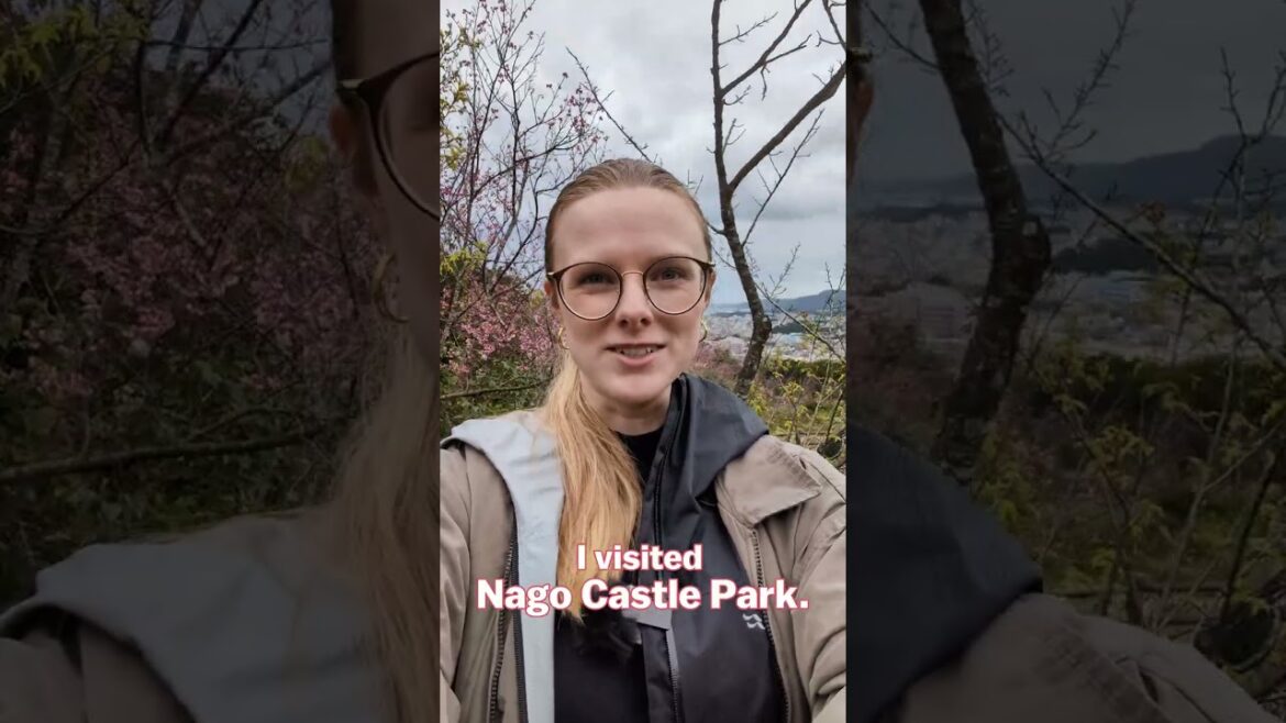 Cherry blossom In Okinawa