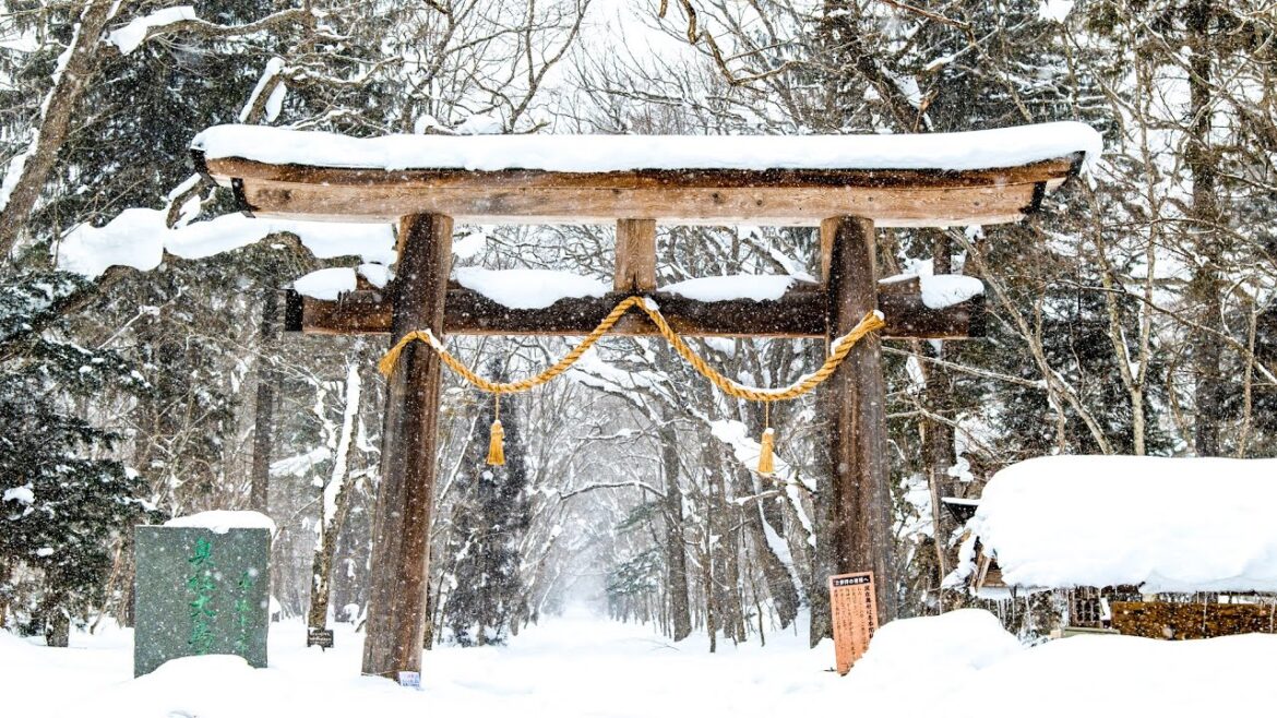 Deep Snow Japan Day Trip 🇯🇵 | Tokyo to Togakushi Shrine, Nagano by Hokuriku Shinkansen & Bus Deep Snow Japan Day Trip 🇯🇵 | Tokyo to Togakushi Shrine, Nagano by Hokuriku Shinkansen & Bus