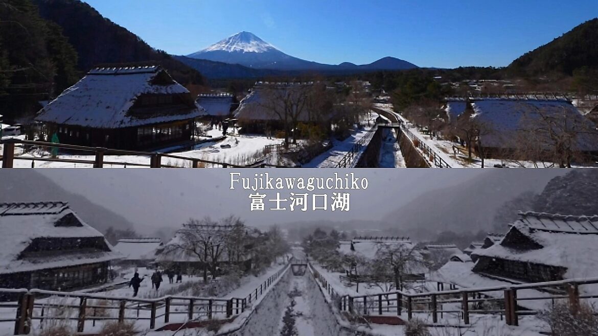 This year, my hometown of Fujikawaguchiko experienced its first heavy snowfall.