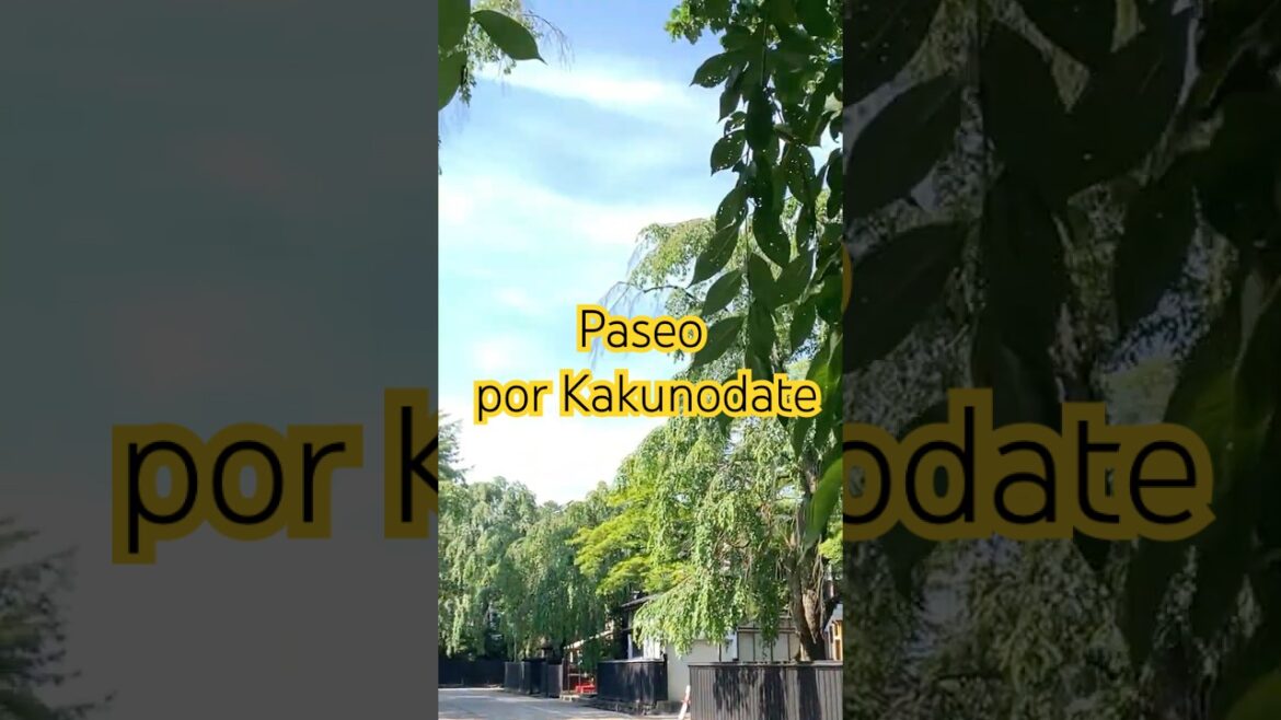 Disfrutando de Kakunodate: Akita, Japón #shorts Disfrutando de Kakunodate: Akita, Japón #shorts