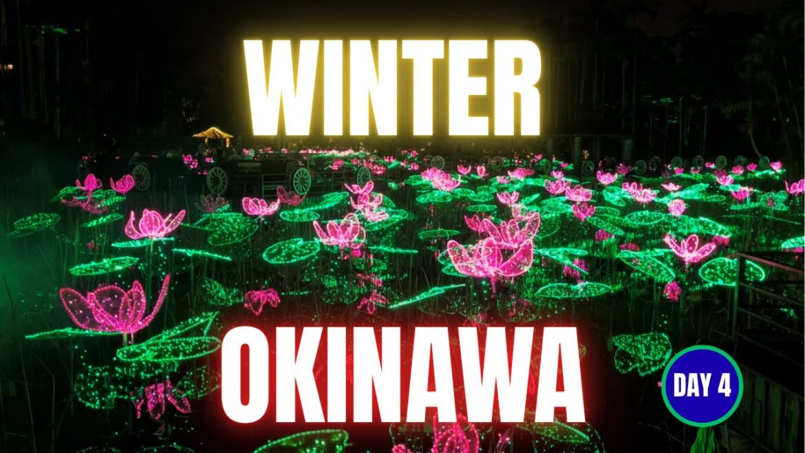 Winter Okinawa Day 4 | Pineapple Park to Night Lights