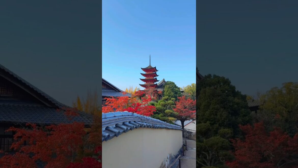 WELCOME π€TO JAPAN πΎ HIROSHIMA #shorts #viral #travel #explore #nature #japaneselandscape A E S 7 WELCOME π€TO JAPAN πΎ HIROSHIMA #shorts #viral #travel #explore #nature #japaneselandscape A E S 7
