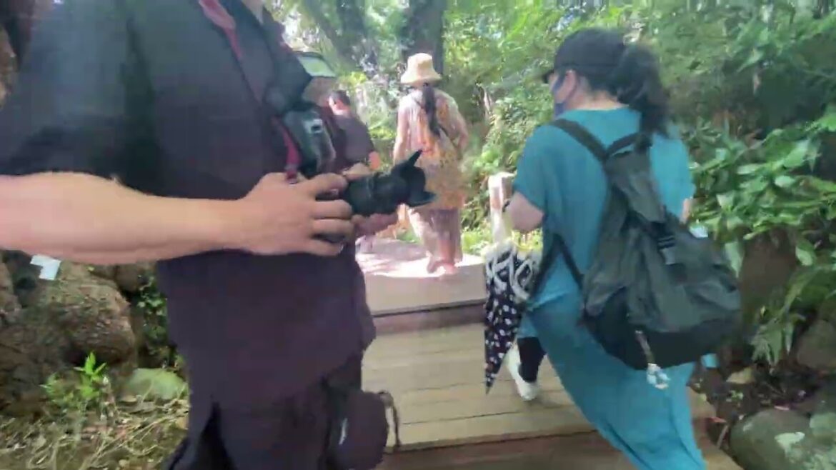 Company tour in Shizuoka