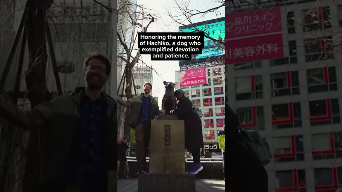 Hachiko, Japan’s Most Loyal Dog 🎌🐶