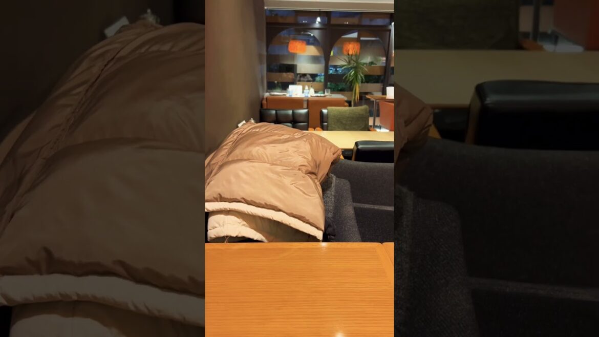 【KOBE】Must-See Nice Cheesecake Cafe - Kannonya