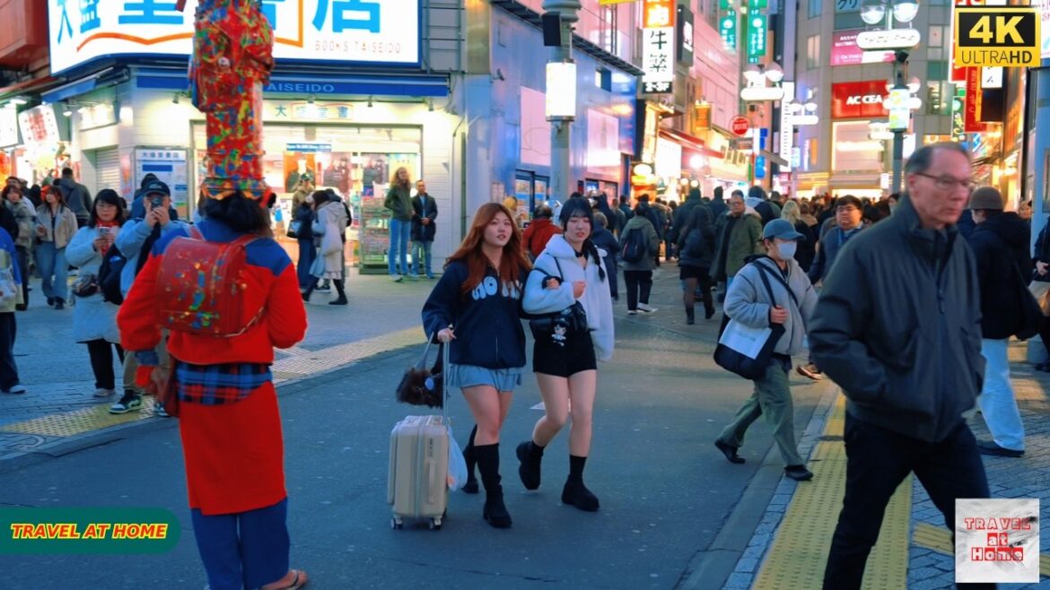 4K HDR Japan travel 2026 | Walk in Shibuya (渋谷) Tokyo Japan | Relaxing Natural City ambience