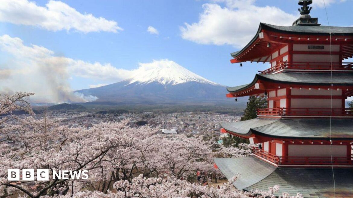 Cherry blossom flowers surround a pagoda in Arakurayama Sengen park in Fujiyoshida, Japan. Mount Fuji can be seen in the background.