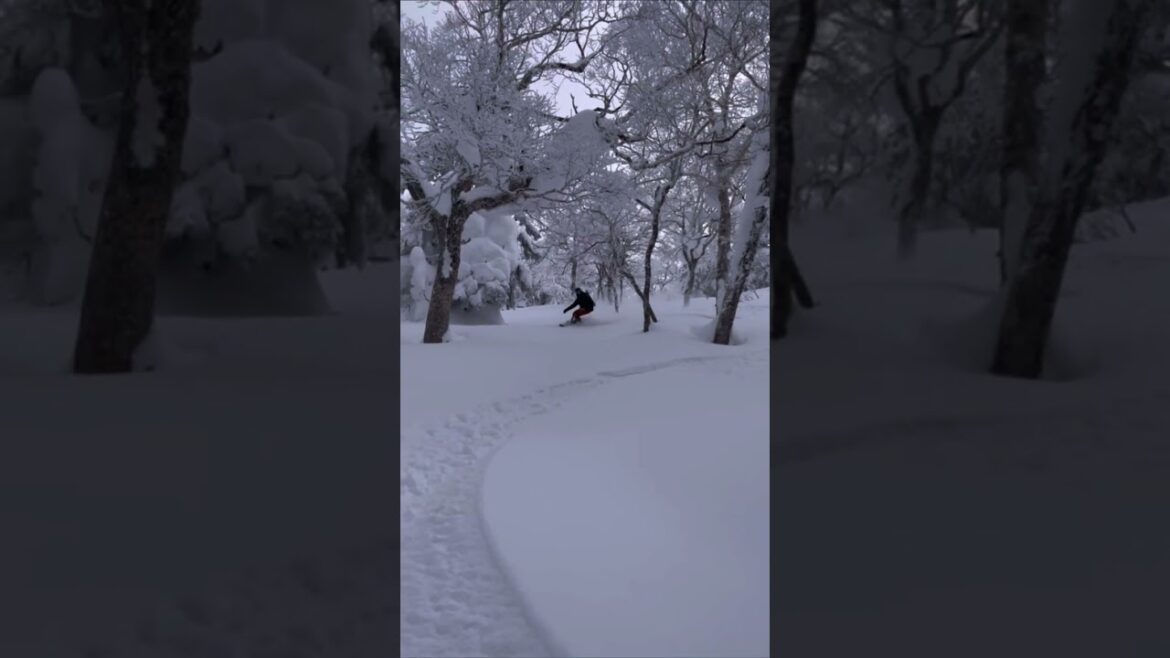 Touring in Furano Japan