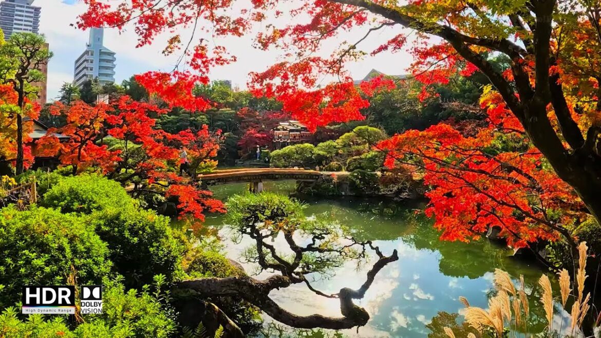 JAPAN TRAVEL | The autumn foliage season at Sorakuen Garden in Kobe | Japanese Garden 🍁