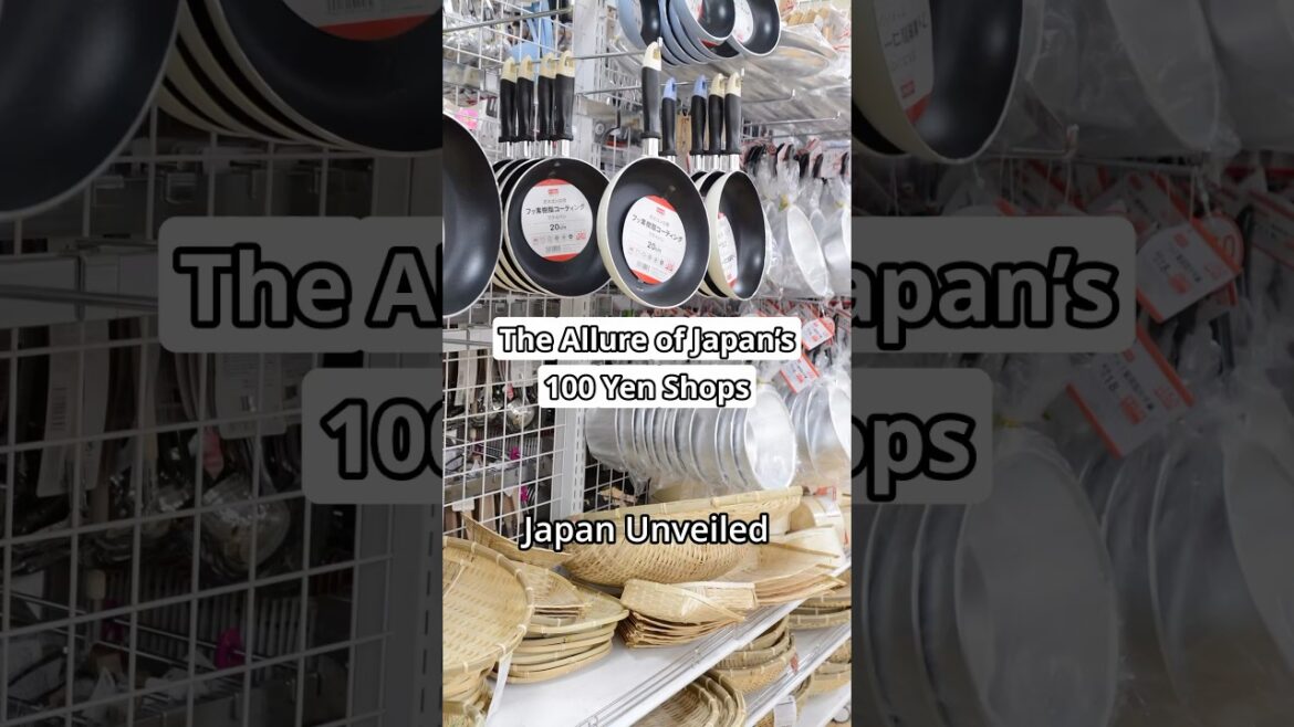 100 Yen Shops in Japan: The Ultimate Affordable Shopping Experience