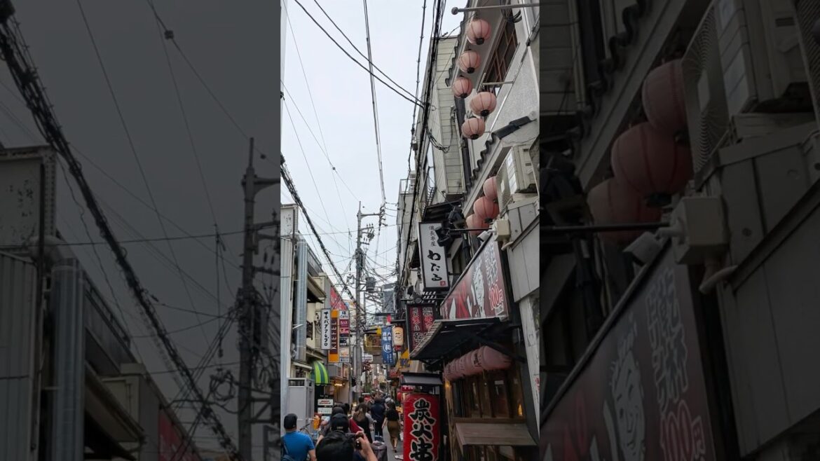 Lost in Osaka. 大阪。#japan #japantravel #travel #teampixel #shorts #fyp #tokyo #osaka