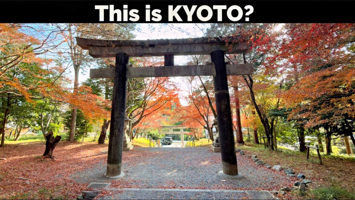 Escaping Kyoto's Overtourism | Where Locals Actually Go