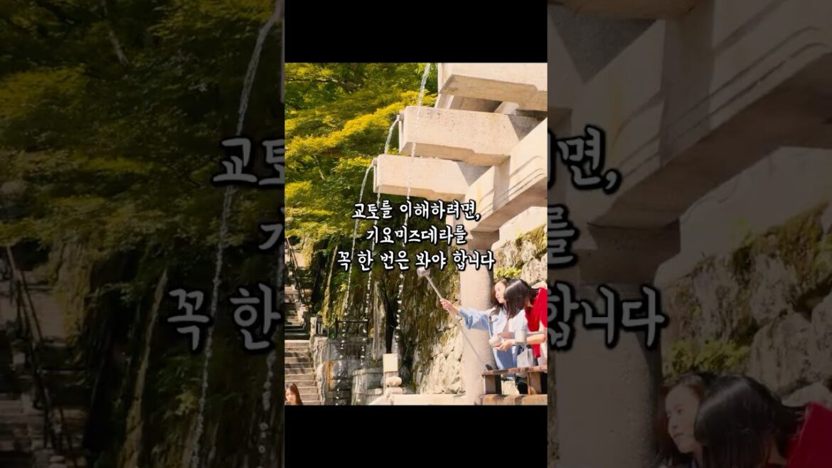 교토를 이해하려면 꼭 봐야 하는 곳. 기요미즈데라