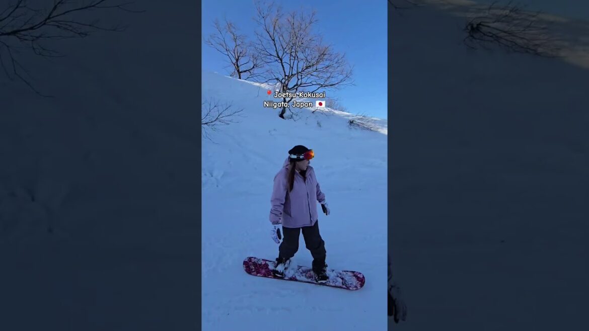 Snow surfin' in Japan #snowboarding #niigata #joetsu #Japan