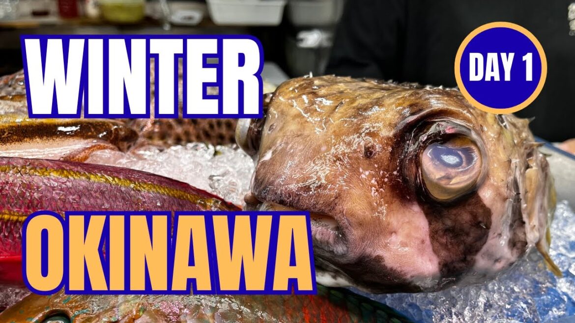 Makishi Public Market Food Tour (Naha) | Okinawa Trip EP1