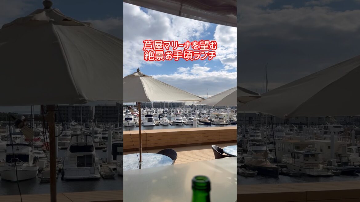芦屋で絶景ランチ🍽️イタリアンレストラン【マレロッソ🇮🇹Mar Rosso】芦屋マリーナのお手頃ランチで優雅な気分✨#芦屋ランチ #芦屋マリーナ #マレロッソ #芦屋ベイコート