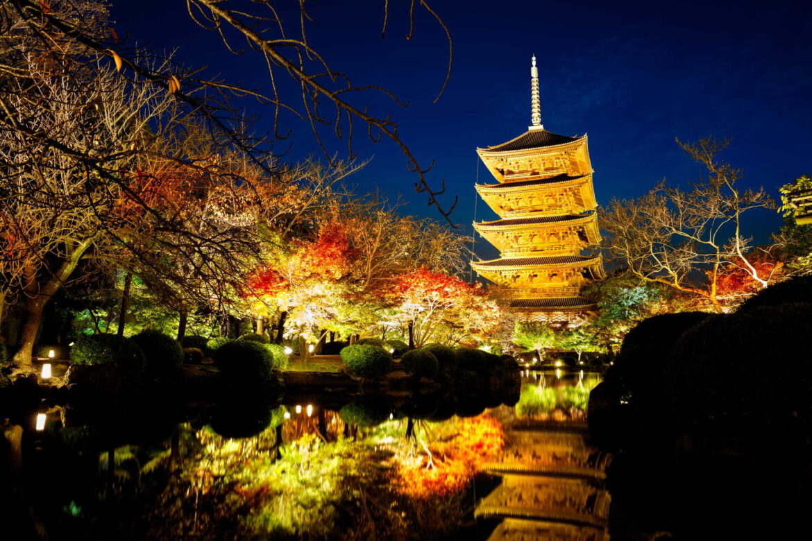 Toji Japanese Garden Light-up | Toji Temple, Kyoto