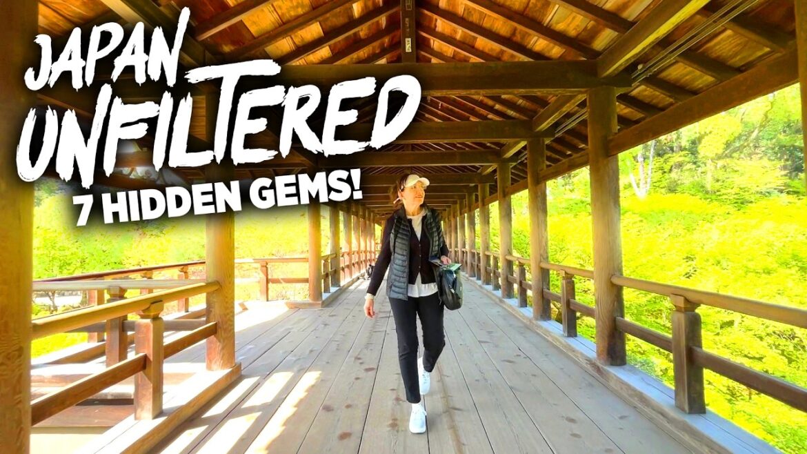 A FAST tour of JAPAN's most AMAZING Places!