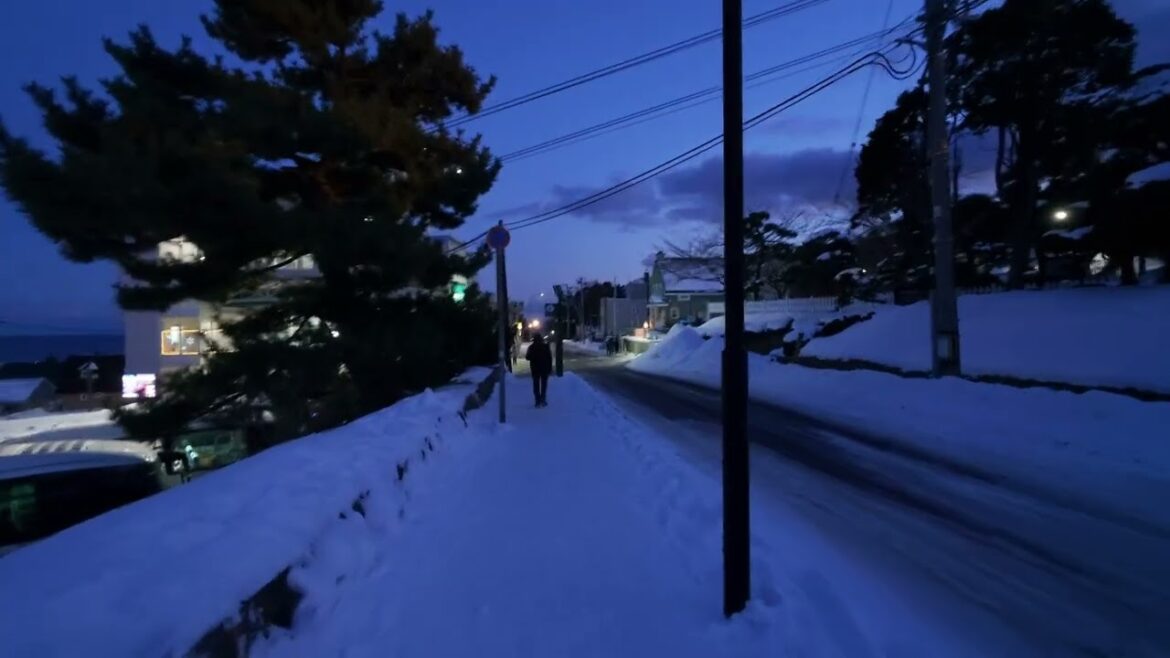 A Winter  Day in Hakodate | Hokkaido Travel Vlog ❄️✨