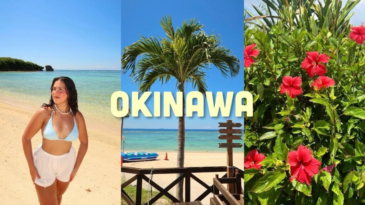 Okinawa Travel Vlog 🌴🌺 | beaches, sea turtles, & island hopping