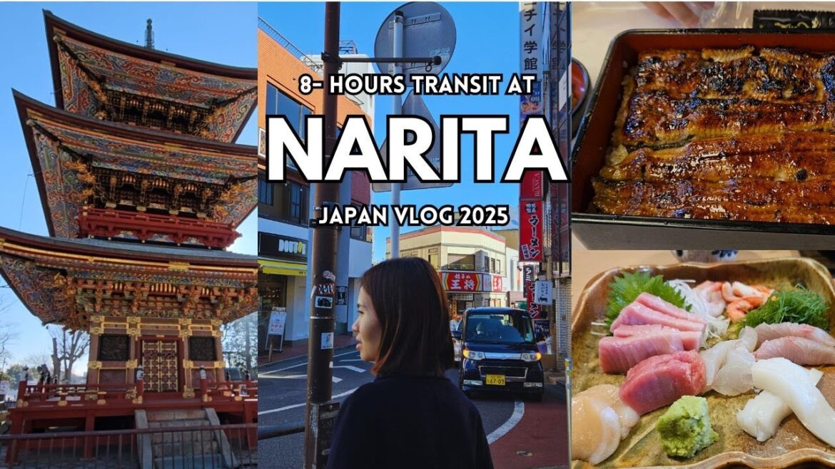 8 Hours Layover in Japan 🇯🇵 | What to Do in Narita Near the Airport! (Food, Temple, Street Walk)