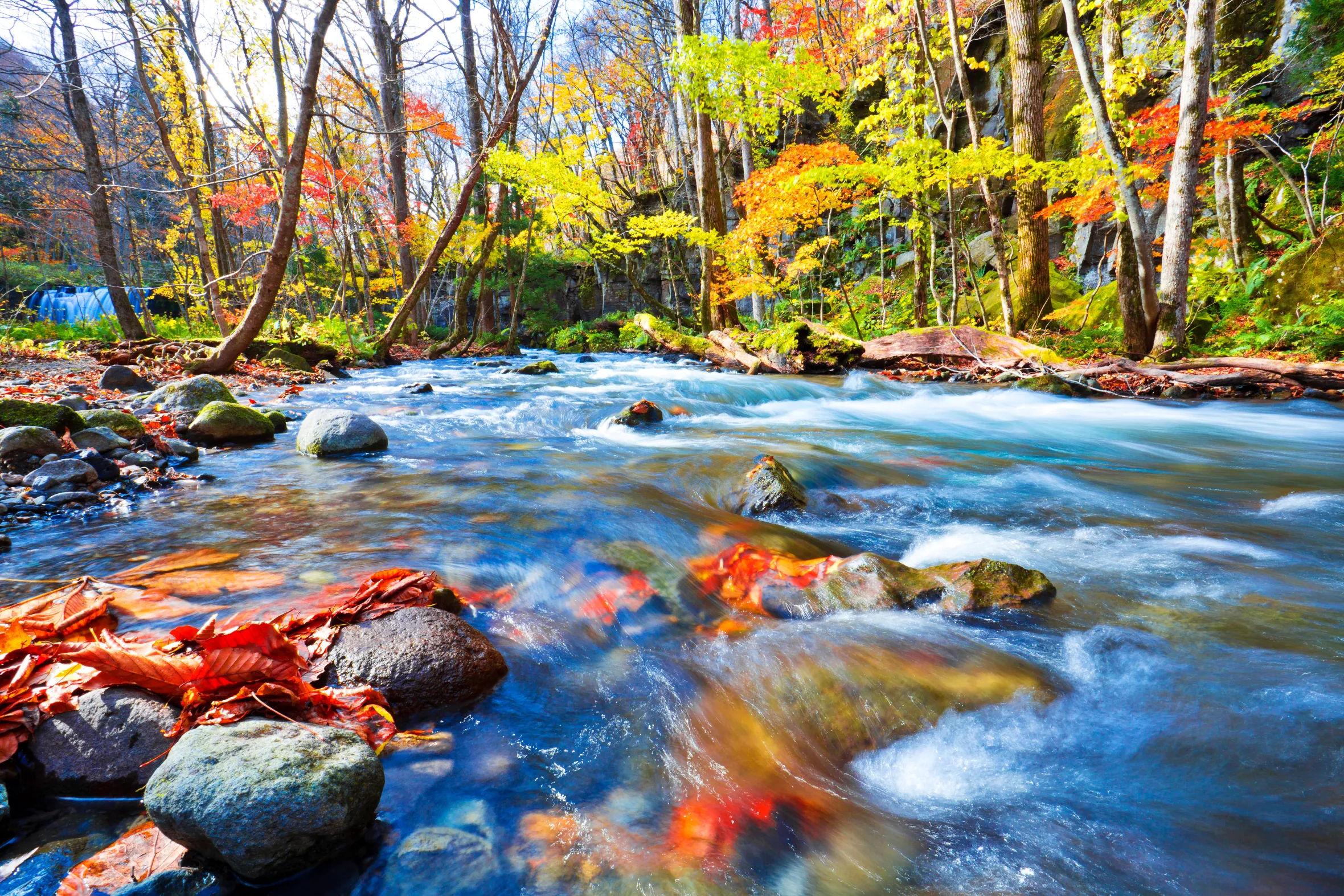 Oirase Gorge, Aomori prefecture — one of the most beautiful places to visit in Japan