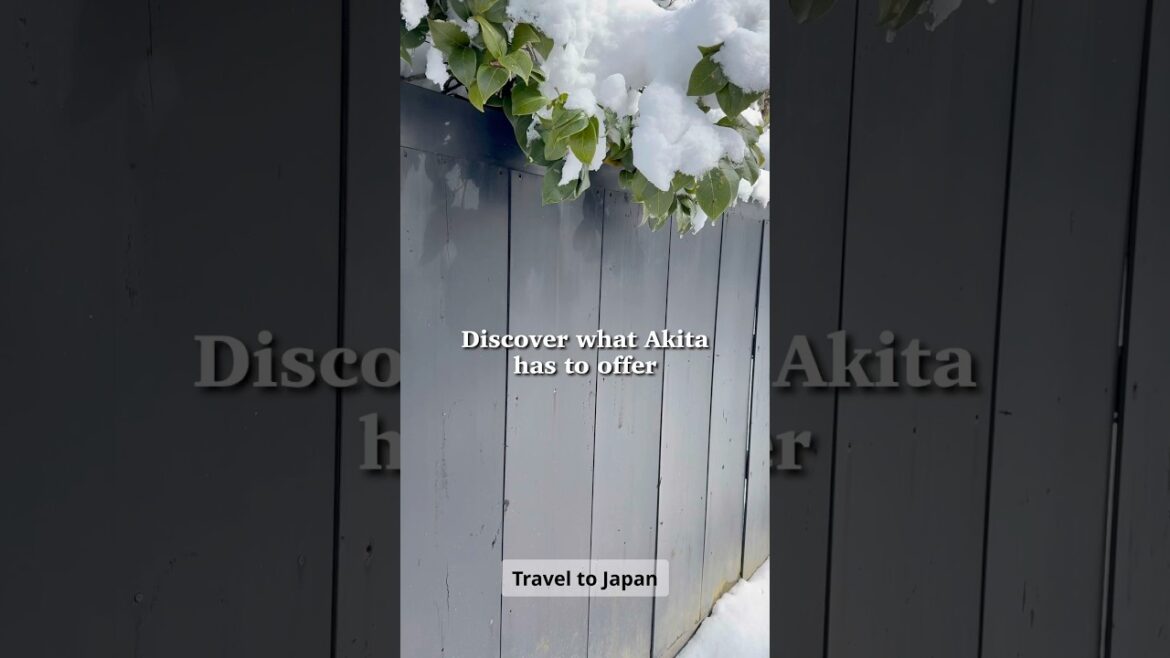 Discover what Akita Japan has to offer #japan #japanlife #japantravel #travel #akita