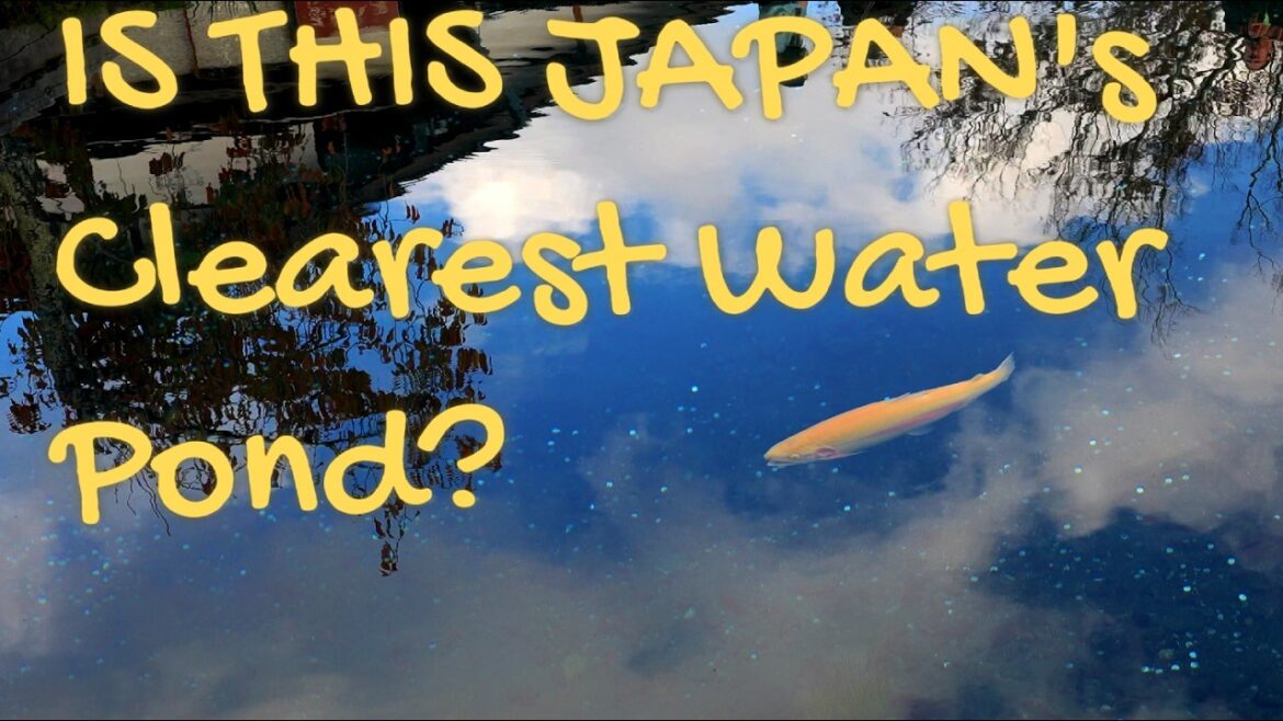 Japan’s Clearest Water Village! Oshino Hakkai 4K Walking Tour